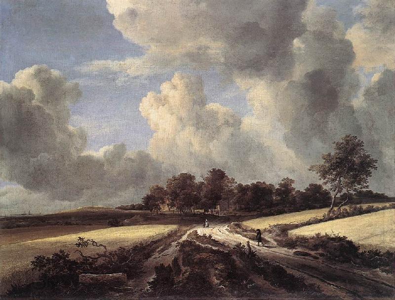 Jacob van Ruisdael Wheat Fields oil painting picture
